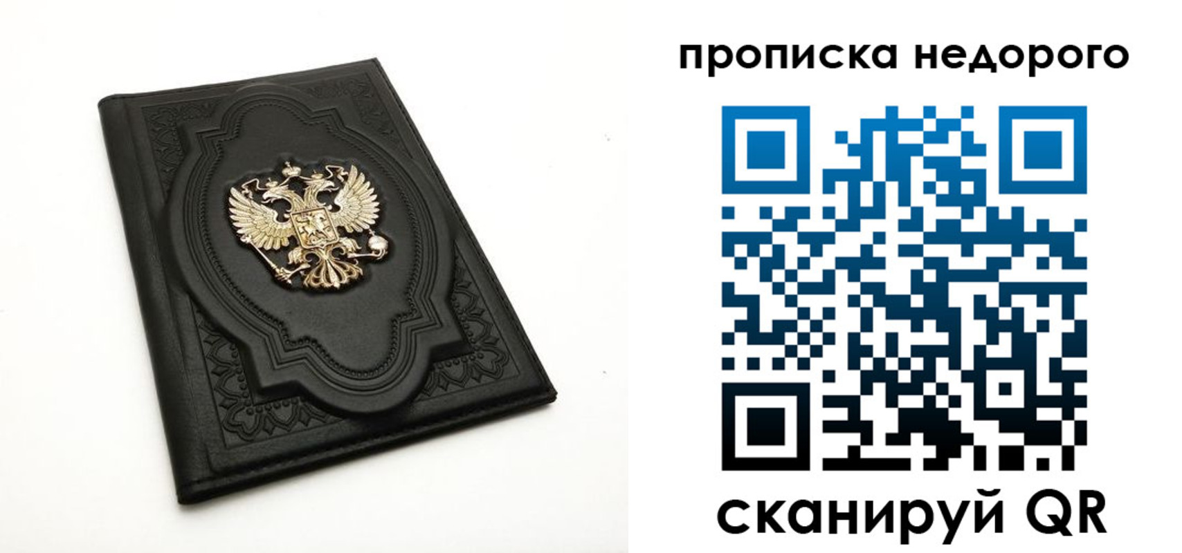 прописка для школы в Щёлково